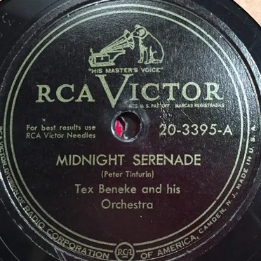 Midnight Serenade / Pin-Striped Pants