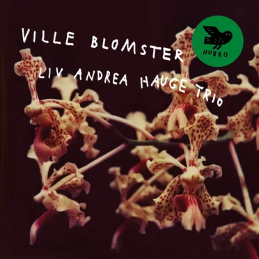 Ville Blomster by Liv Andrea Hauge Trio - album cover