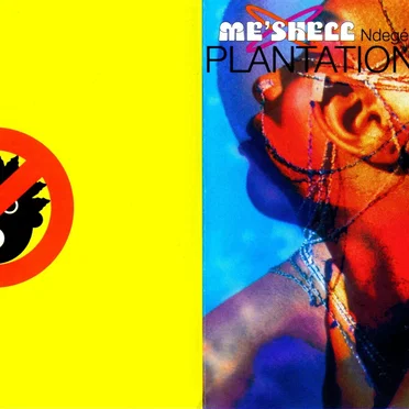 Plantation Lullabies by Me’Shell NdegéOcello - album cover