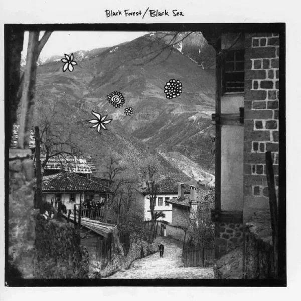 Black Forest/Black Sea