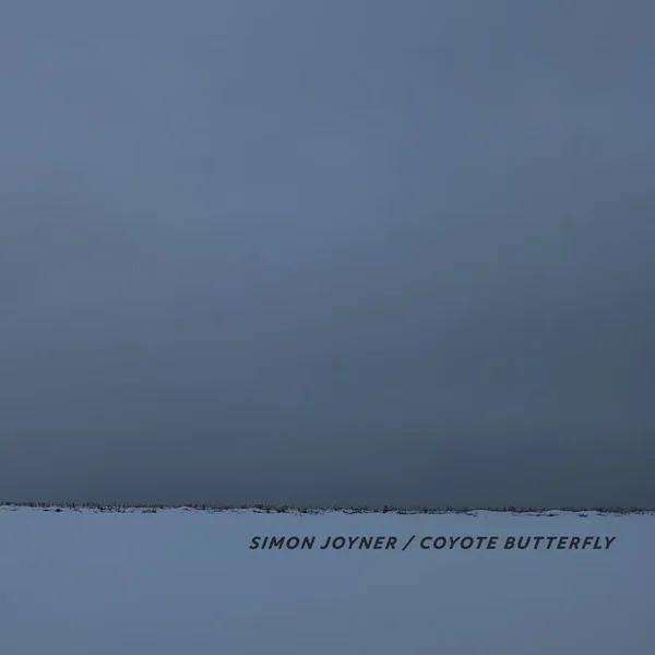 Coyote Butterfly