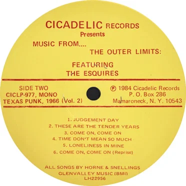 Texas Punk, 1966: Vol. 2 Music From... The Outer Limits!