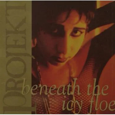 Beneath the Icy Floe, Volume 3 by Various Artists - album cover