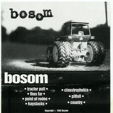 Bosom by Bosom - album cover