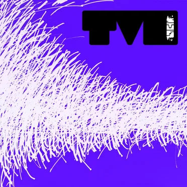 The Dark Is Rising by TVO - album cover