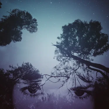 Songs the Night Bird Taught Me
