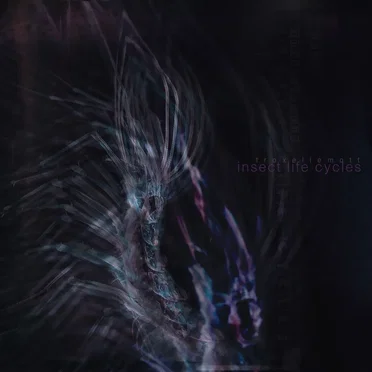 Insect Life Cycles by Troxellemott - album cover