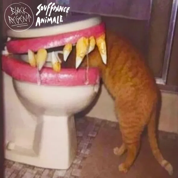 Souffrance animale