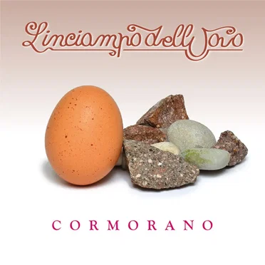 L'inciampo Dell'uovo