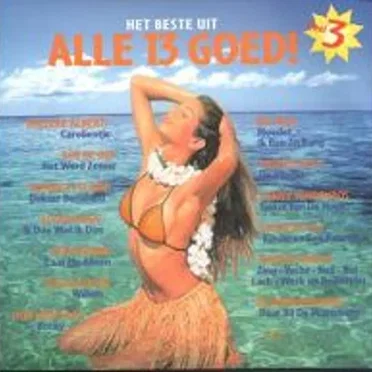 Het beste uit alle 13 goed, deel 3 by Various Artists - album cover