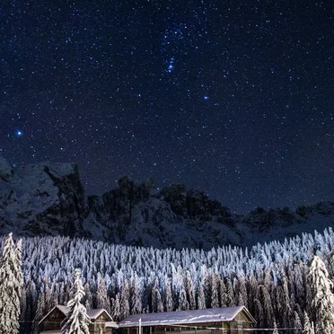 A Blanket of White in the Night