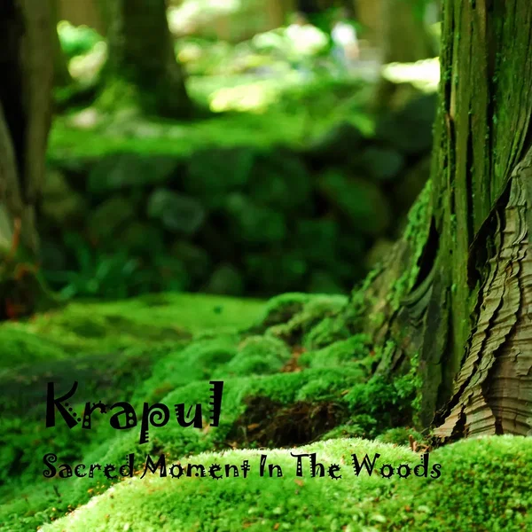 Sacred Moment in the Woods