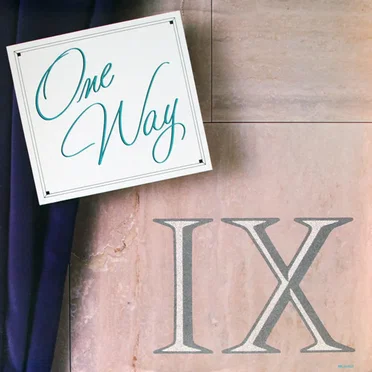 IX