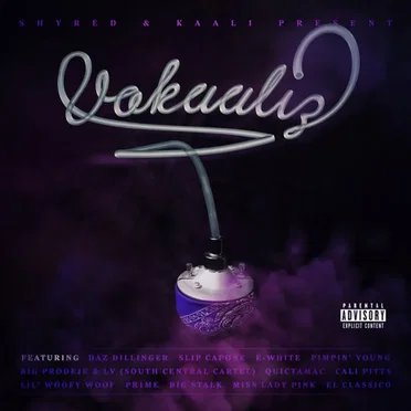Vokaaliz by Shyred - album cover