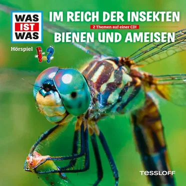 Im Reich der Insekten / Bienen & Ameisen by WAS IST WAS - album cover