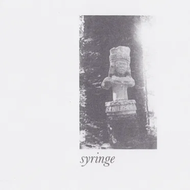 Syringe