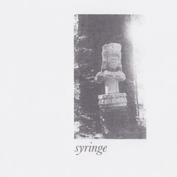 Syringe