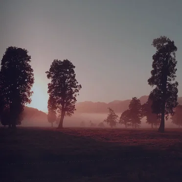 Crimson Oak