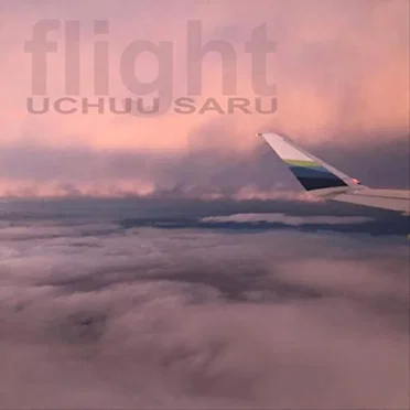 Flight by Uchuu Saru - album cover