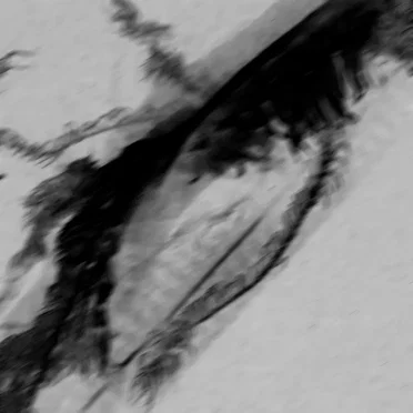 SZAD by Life Is Suffering - album cover