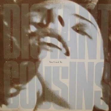 You Used To by Distant Cousins - album cover