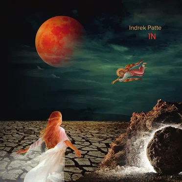 IN by Indrek Patte - album cover