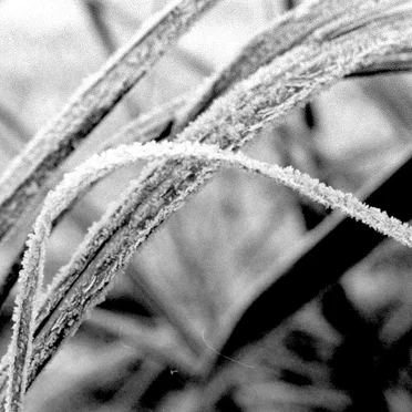 Echoes of Steel Live