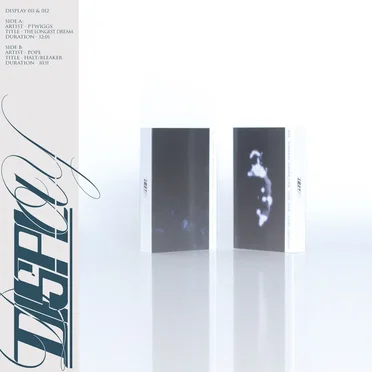 DISPLAY011 / DISPLAY012 by Ptwiggs - album cover