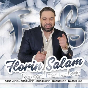Florin Salam - Buzunarul meu vorbește by Various Artists - album cover