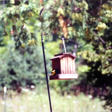 Birdfeeder