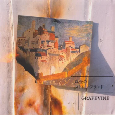 GRAPEVINE