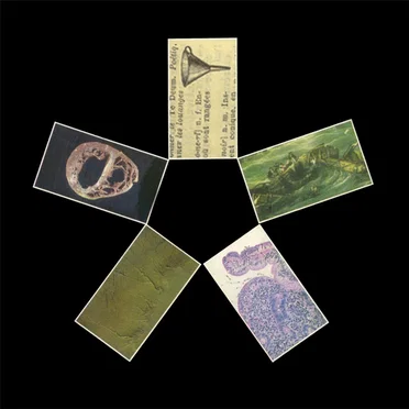 Acpklenc by Delta Files - album cover
