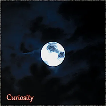 Curiosity