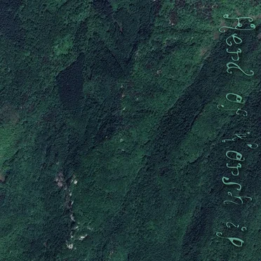 Spore 7, the Seventh: 40°06'43.9"N 122°28'09.2"E