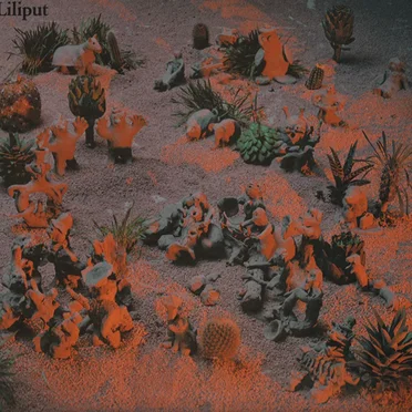 LiLiPUT
