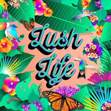 Lush Life by ORION - album cover