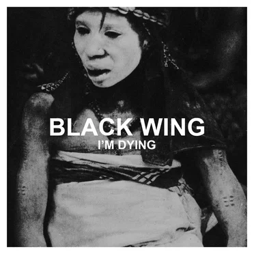 Black Wing by Black Wing - album cover