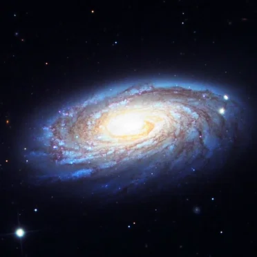 M88