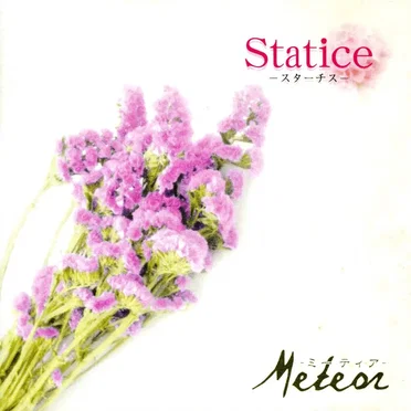 Statice-スターチス-
