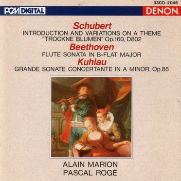 Introduction And Variations On A Theme "Trockne Blumen" Op.160, D802 / Flute Sonata In B-Flat Major / Grande Sonate Concertante In A Minor, Op.85