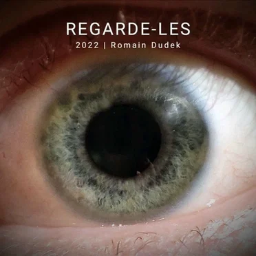 Regarde‐Les by Romain Dudek - album cover