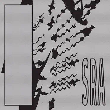 Reflection Spaces by Silk Road Assassins - album cover
