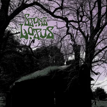 Stone Lotus by Stone Lotus - album cover