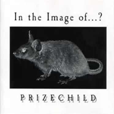 In the Image of ... by Prizechild - album cover