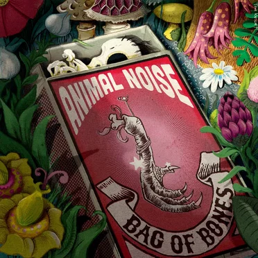 Bag of Bones by Animal Noise - album cover