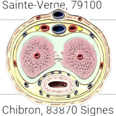 On se retrouve à mi-chemin sur ta bite
