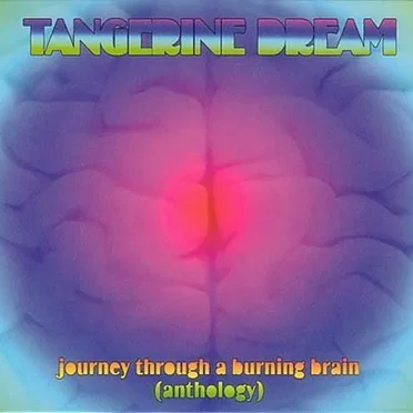 Journey Through a Burning Brain