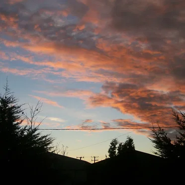 Dawn, North Paterson
