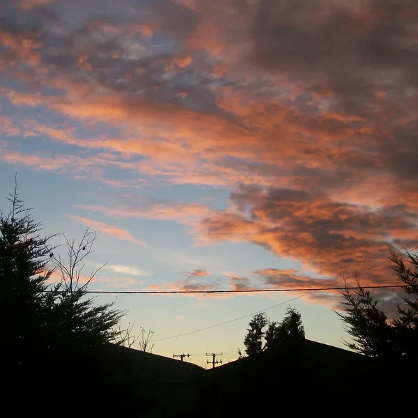 Dawn, North Paterson