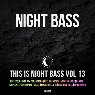 This is Night Bass Vol. 13 by Various Artists - album cover